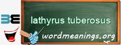 WordMeaning blackboard for lathyrus tuberosus
